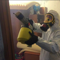 Уничтожение клопов в квартире. Выставочный центр
